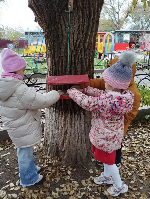 photo_2025-11-14_10-19-57