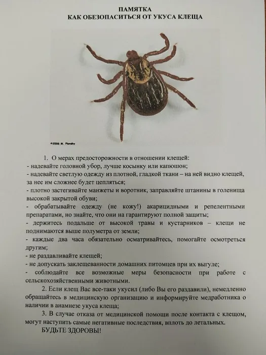 памятка от клеща